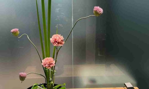 ミガリオのロゴが掲げられた木製カウンターに、ピンクのカーネーションとモンステラの葉を使ったフラワーアレンジメントが飾られている様子
