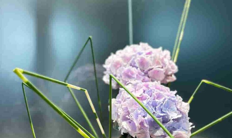 株式会社ミガリオのエントランスに飾られたアジサイのいけばな。緑の幾何学的な線とパステルカラーの紫陽花が調和した現代的なアレンジメント