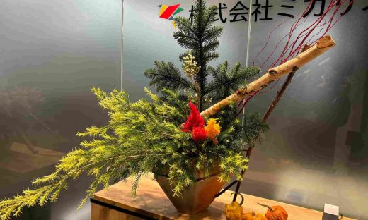 カボチャミともの木、白樺、ケイトウを組み合わせた季節の装飾