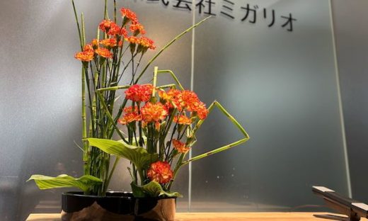 オレンジ色のカリンボ（カーネーション）とシマフトイで構成されたモダンなフラワーアレンジメント。株式会社ミガリオの会社ロゴが入ったガラス面を背景に、黒い花器に活けられている