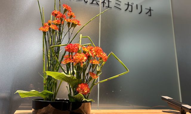 オレンジ色のカリンボ(カーネーション)とシマフトイで構成されたモダンなフラワーアレンジメント。株式会社ミガリオの会社ロゴが入ったガラス面を背景に、黒い花器に活けられている