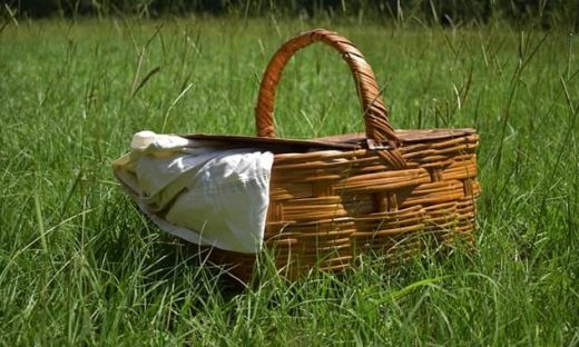 緑の草原に置かれた籐の籠（バスケット）。エルメスのバーキンが生まれるきっかけを象徴するイメージ。