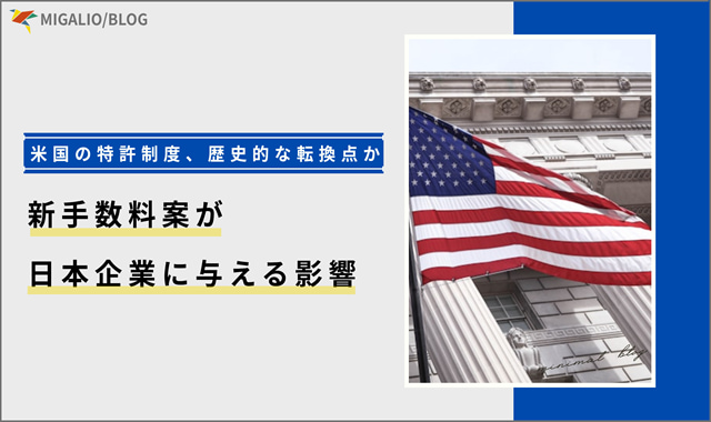 荘厳な柱が立ち並ぶ政府庁舎と、その前ではためくアメリカの国旗