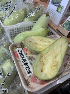 大きな狩留家なす