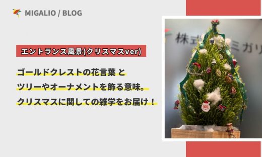エントランス風景(クリスマスver) ゴールドクレストの花言葉とツリーやオーナメントを飾る意味。クリスマスに関しての雑学をお届け！｜株式会社ミガリオ ブログ