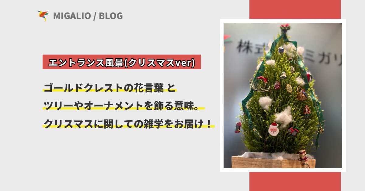 エントランス風景(クリスマスver) ゴールドクレストの花言葉とツリーやオーナメントを飾る意味。クリスマスに関しての雑学をお届け！｜株式会社ミガリオ ブログ
