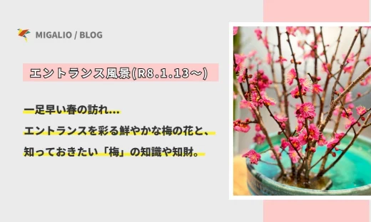 エントランスに咲く鮮やかな梅の花と、春の訪れを告げる風景