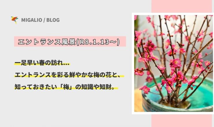 エントランスに咲く鮮やかな梅の花と、春の訪れを告げる風景