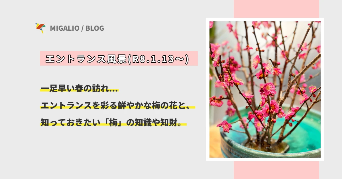 エントランスに咲く鮮やかな梅の花と、春の訪れを告げる風景